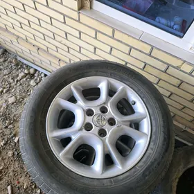 siyena diska pakryşka