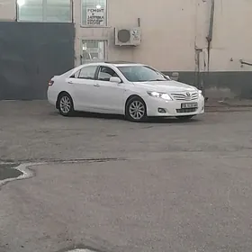 215 60  16  DISKA 2025