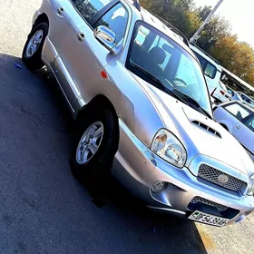 Hyundai Santa Fe 2002