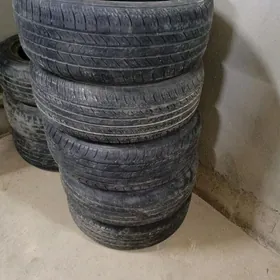 16 216. 2.15.60.16 Tigirler