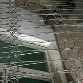 Reșotkalar Demirden