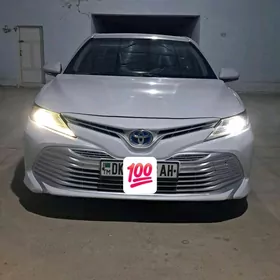 Toyota Camry Hybrid 2019