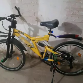 олимпия 26 лык