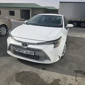 Toyota Corolla 2020