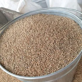 Satlyk Dary(Tary) 2025ý hasyly