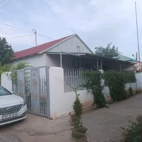 Büzmeýin eýesinden ýer jaý