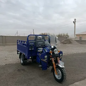 Fekon FK200-14G 2024