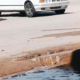 2.Pilite 1 wanus Wal