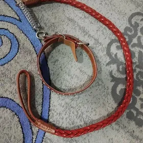 ошейник с поводком