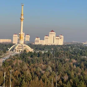 ТУРКМЕНБАШИ ЭЛИТКА