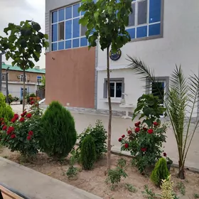 Ilata hyzmat edis nokady