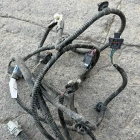 Haylander kemri partronik kabe