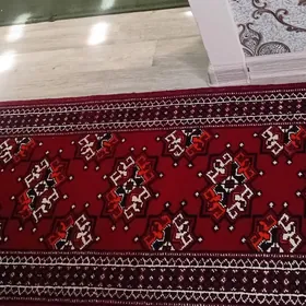 Dilkaw   haly   tazeje