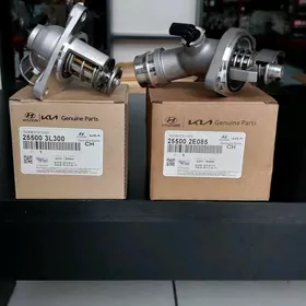 Termostat Hyundai Kia elektron