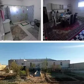 плановый жай Seýdi