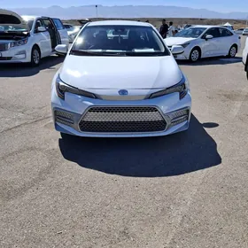 Toyota Corolla 2020