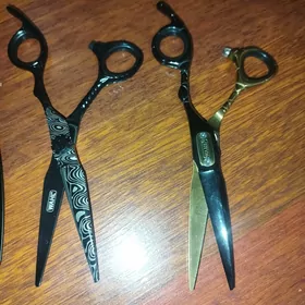 Dellekhana un Taze gaycylar