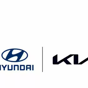 KIA HYUNDAI KRYSHKA KOROPKA