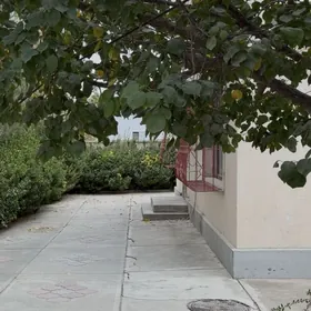 Дуплекс Чехова Мопра