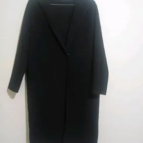 Zempir   tazeje     galynja