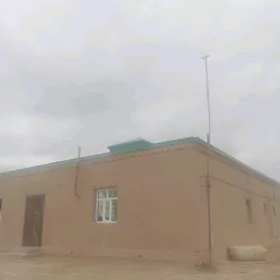 MOLTYPDA JAY GYSSAGLY