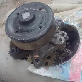 Corolla haliji zapcaslary