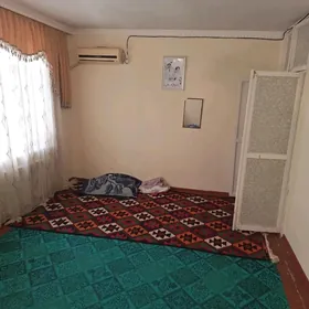 квартира жайлар