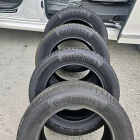 continental pakrişka