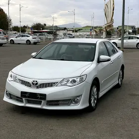 Toyota Camry 2013