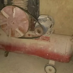 Arginal orsyň kampresiri