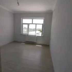 Arenda Jay ànew 3000