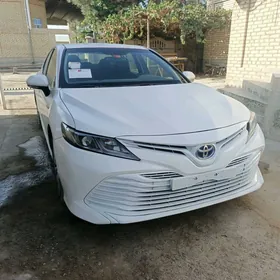Toyota Camry 2020