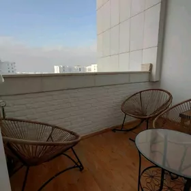 ШАЕЛЫ ЭЛИТКА Lenin elitny jay