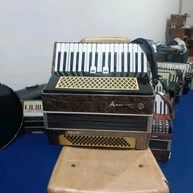 Аккордеон Akkordeon