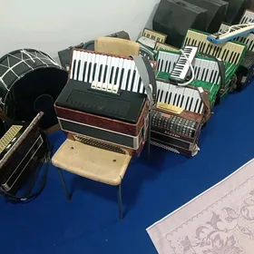Акордеон Akkordeon