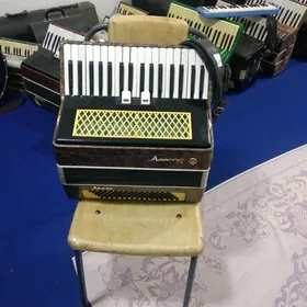 Аккордеон Akkordeon