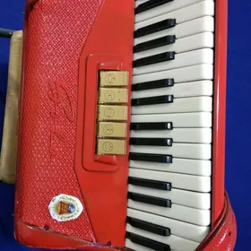 Акардеон Akardeon