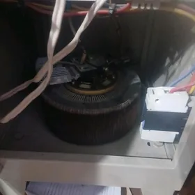 ток сазлаян