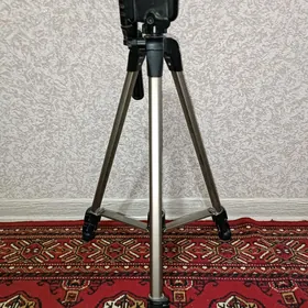 штатив