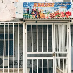 Satlyk yada obmen dukan