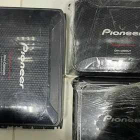 pioneer D klass usulutel