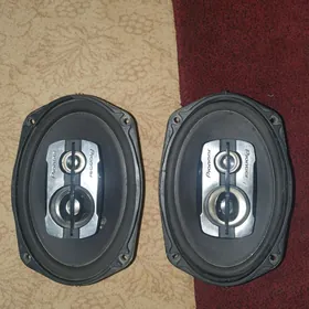 pioneer nikl kolonka