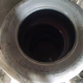 16 lyk radial rabotçy pakryşka