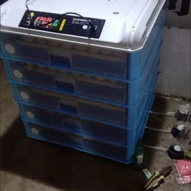 Inkiwator 500 yumurtgalyk