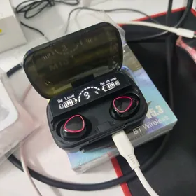 nausnik m10 ulanylmadyk