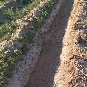 Mellek 16 sotuk uly yolun ugry