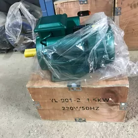 dwigatel 1,5 kw 3000 - 220w