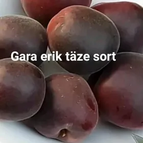 Satlyk gara erik täze sort