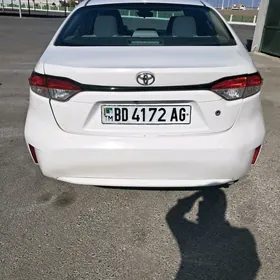 Toyota Corolla 2020