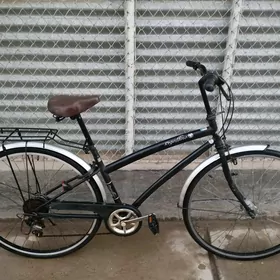 27 REGAFFINO YAPON WEL